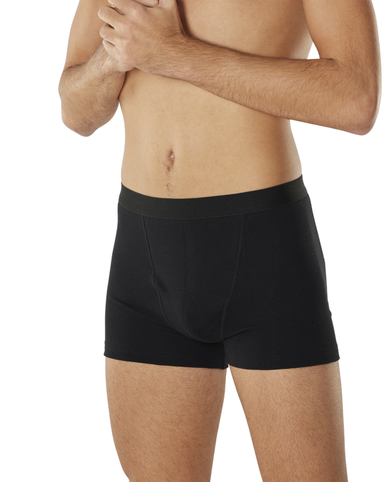 Boxer David