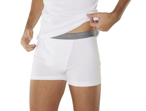 Boxer David